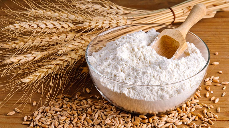 Alternativas à farinha de trigo