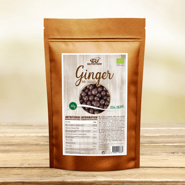 Jengibre con Chocolate Negro Bio 100 g
