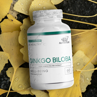 Ginkgo Biloba 60 Caps